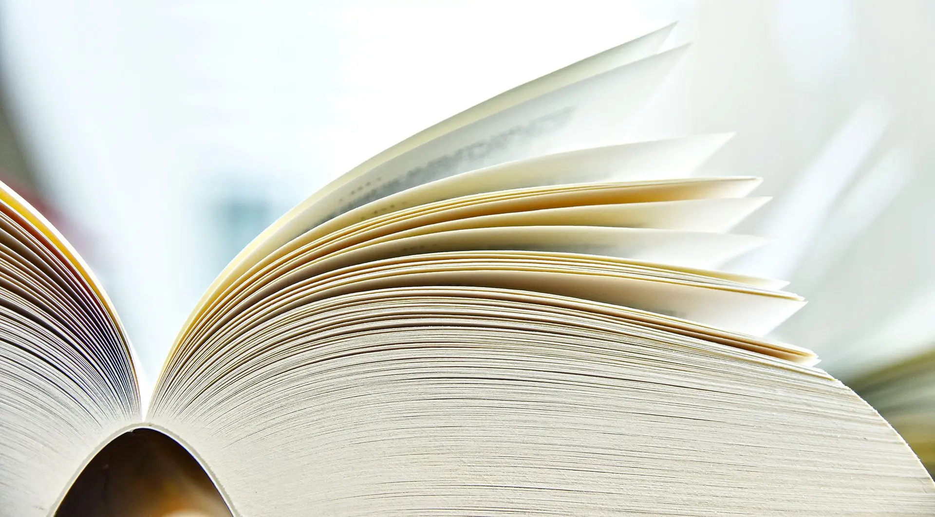 Bücher
